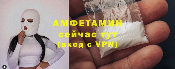 амф Алексин
