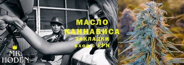 амф Алексин