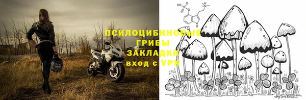 амф Алексин