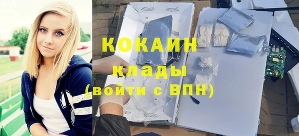 амф Алексин