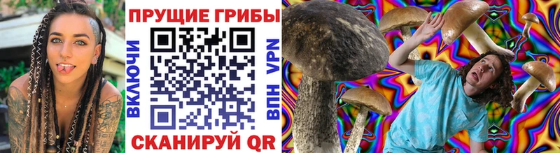 Псилоцибиновые грибы Magic Shrooms  Купить где  Тавда 